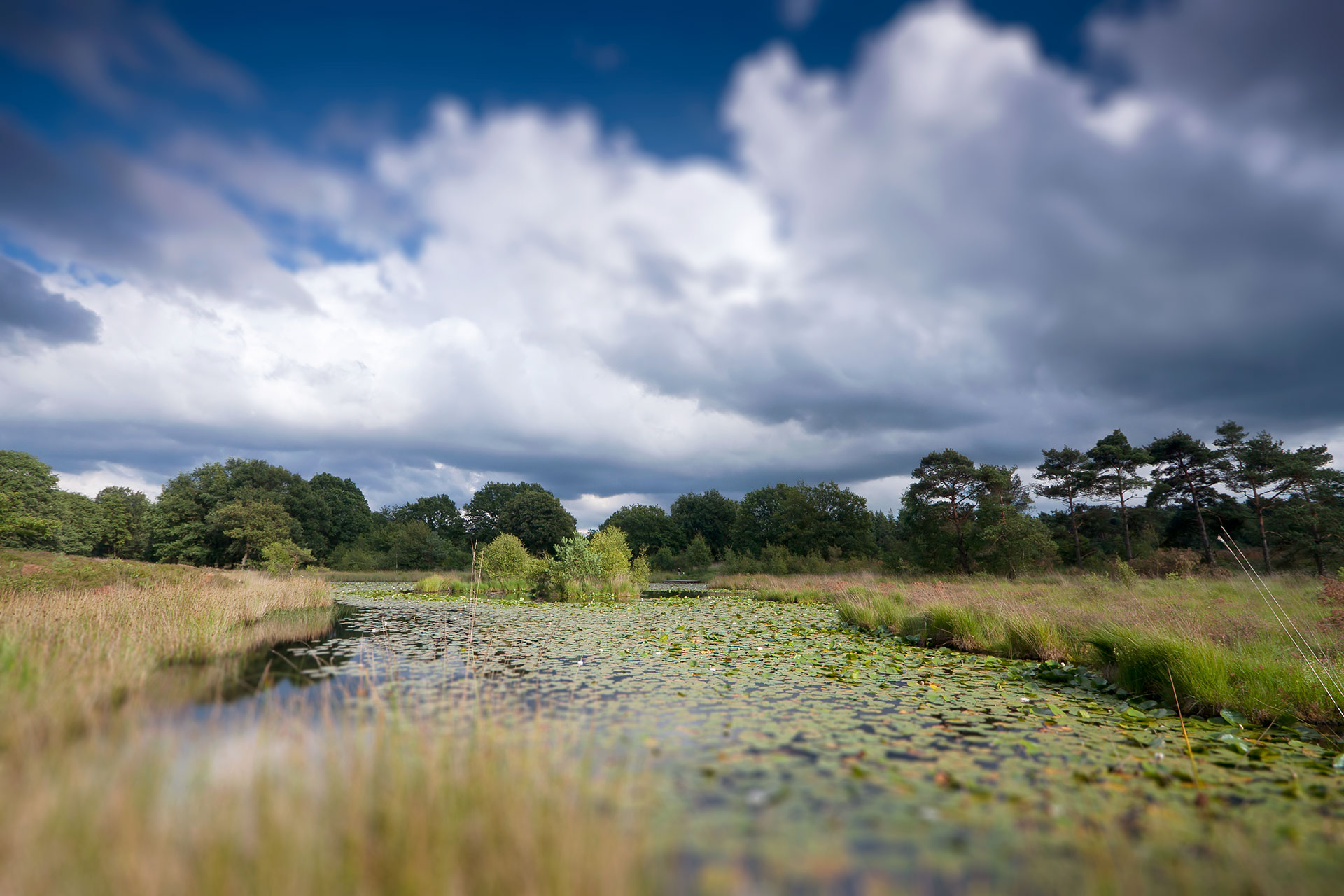 Nationaal Park de Meinweg